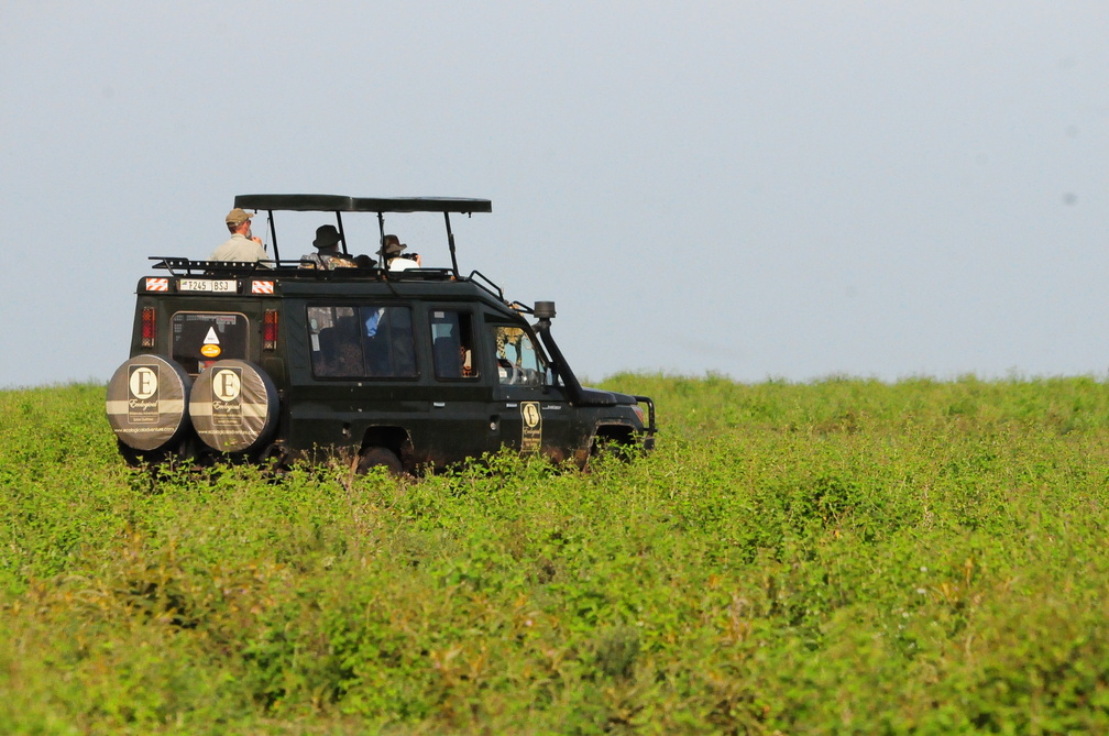 Tanzania Safari
