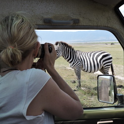 Ecological Wilderness